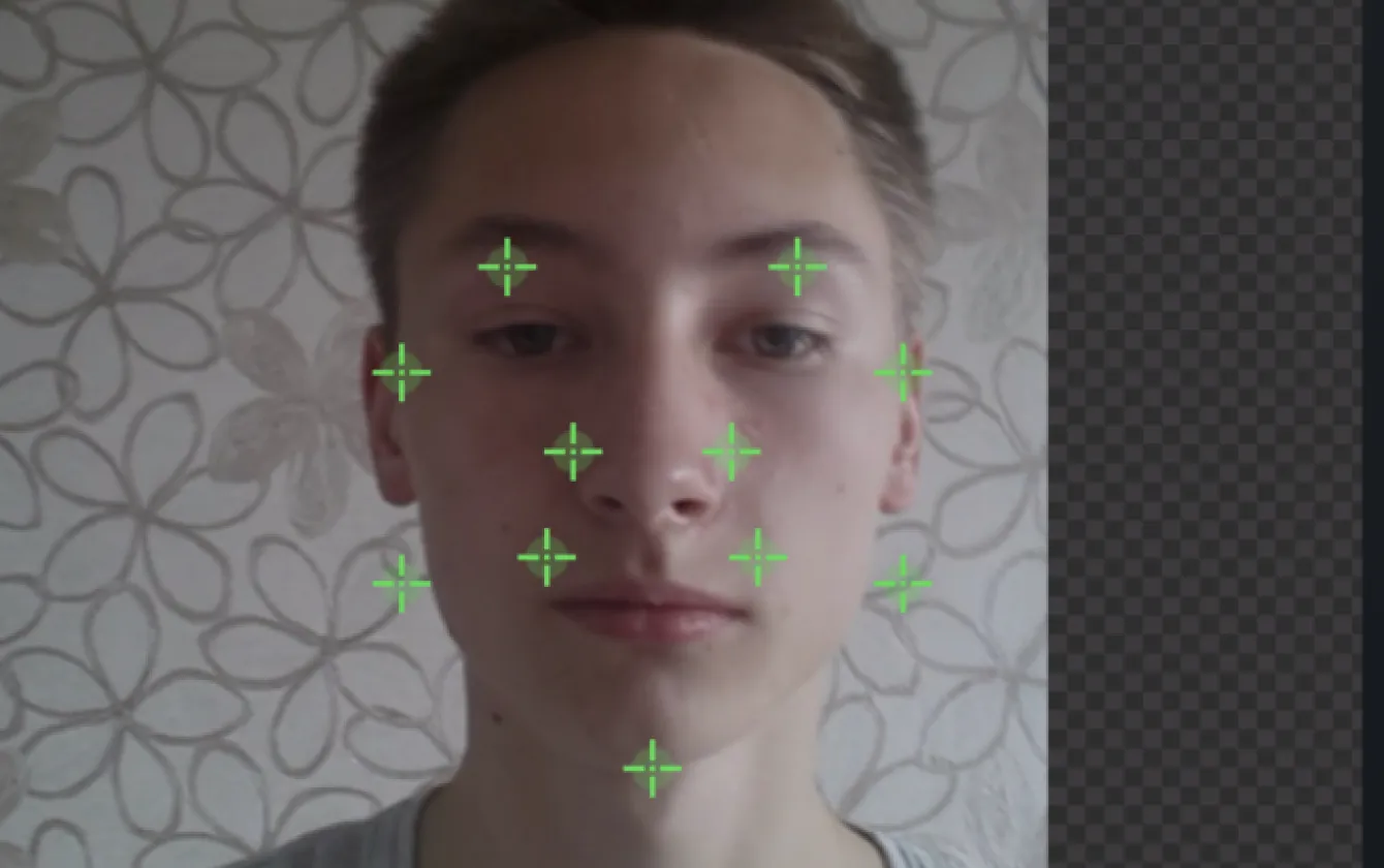 Ampliar Detección Facial Gameface